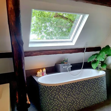Hof Eden 4* Ophemert