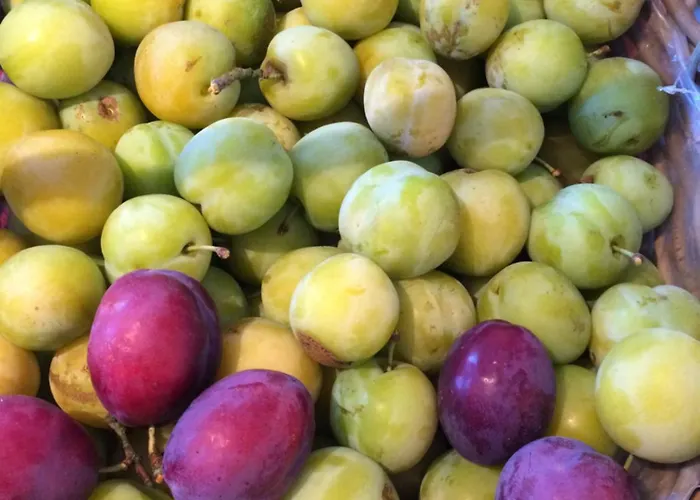 Bed & Breakfast Hof Eden 3*